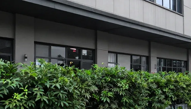 土建技术咨询：如何选择合适的服务提供商